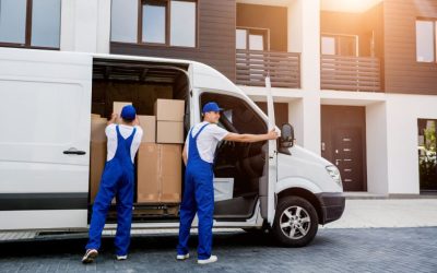 Conheça os benefícios de enviar sua encomenda por transportadora