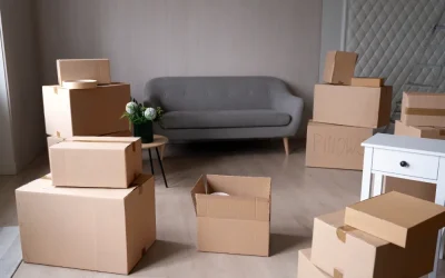 Ano Novo, Vida Nova… tempo de Mudanças