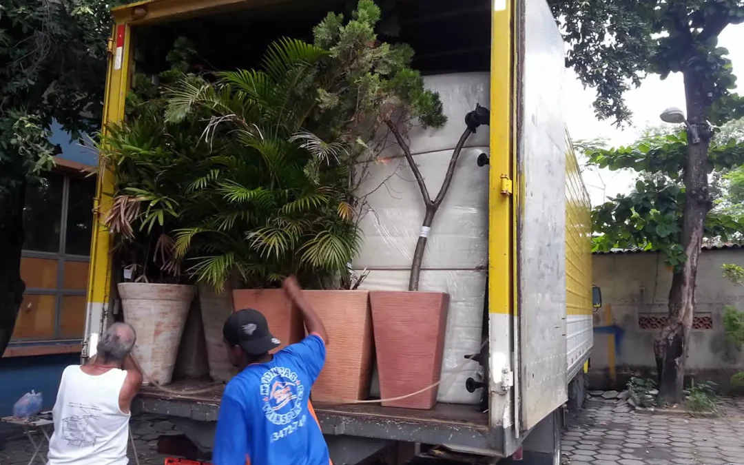 Transporte seguro para Curitiba | Como Escolher a Transportadora